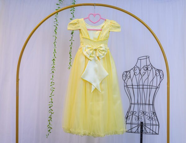 Vestido Longo  corpete em Renda - Image 2