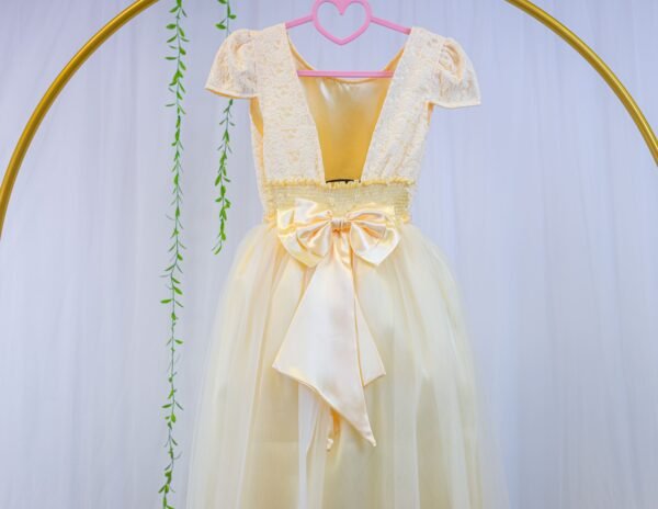 Vestido Longo  corpete em Renda - Image 7